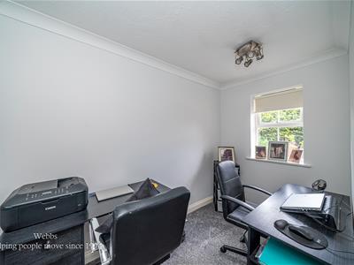 Picture 20